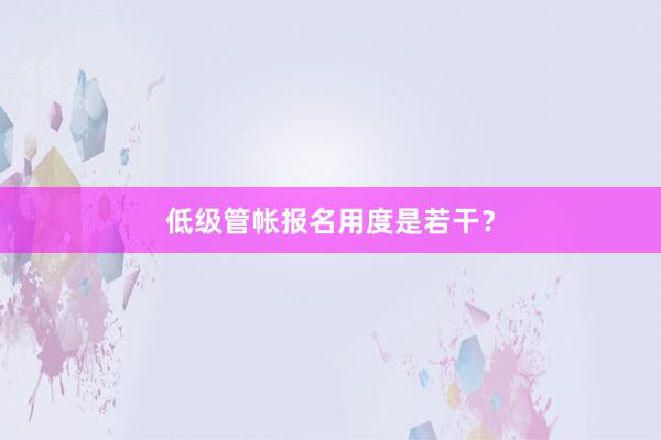 低级管帐报名用度是若干？